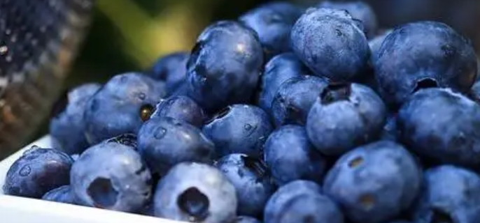 蓝莓可以放冰箱冷藏吗 - 蜜厨房 - 蜜厨房