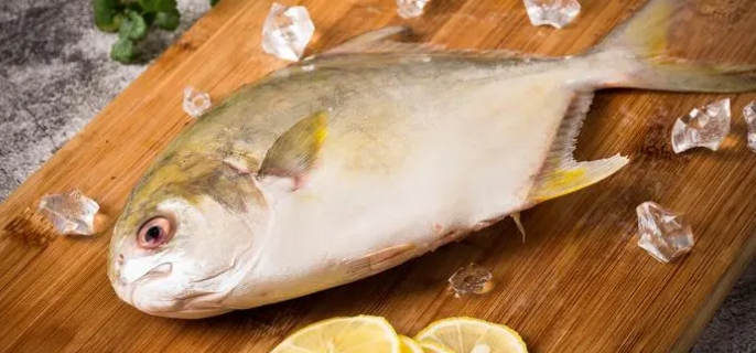 金鲳鱼为什么不能吃 鲳鱼为什么要少吃 - 蜜厨房