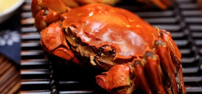几月份吃螃蟹最佳 吃大闸蟹的季节是几月 - 蜜厨房 - 蜜厨房