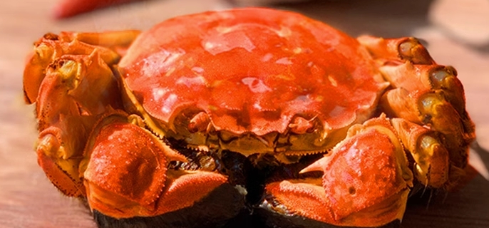 盘锦河蟹几月份吃最好 - 蜜厨房 - 蜜厨房